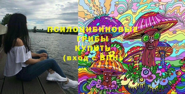 СК Краснослободск