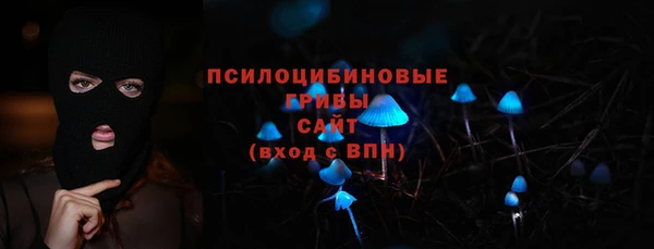 СК Краснослободск