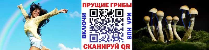 Псилоцибиновые грибы Psilocybe  Купить  Зерноград 